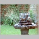 Showering Bird